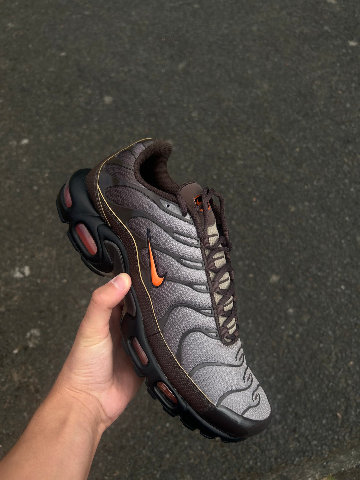 Nike air max plus Tn “Baroque browns”