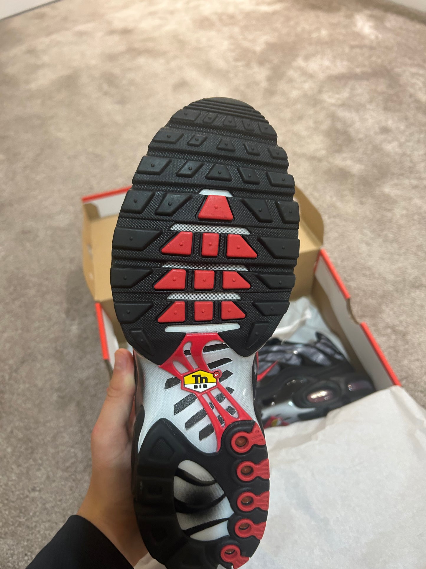 Nike air max plus Tn “Topography”