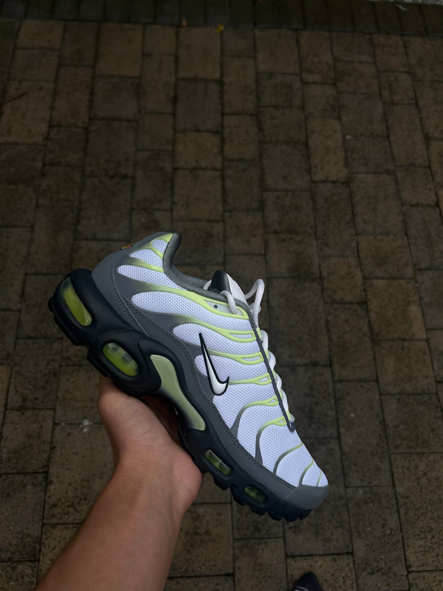 Nike air max plus Tn “lime green/cool grey ”