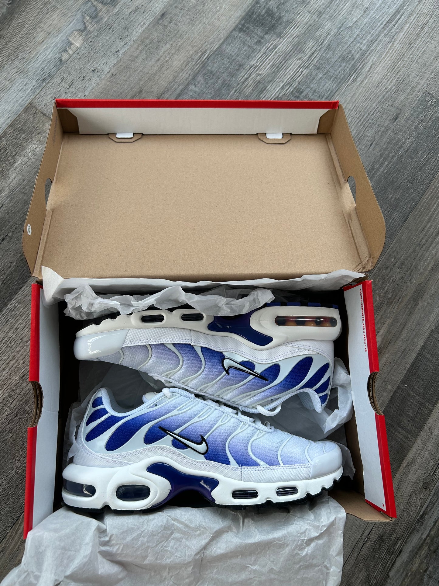 Nike air max plus Tn “Grapes”