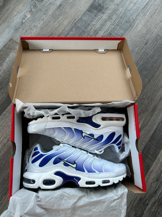 Nike air max plus Tn “Grapes”