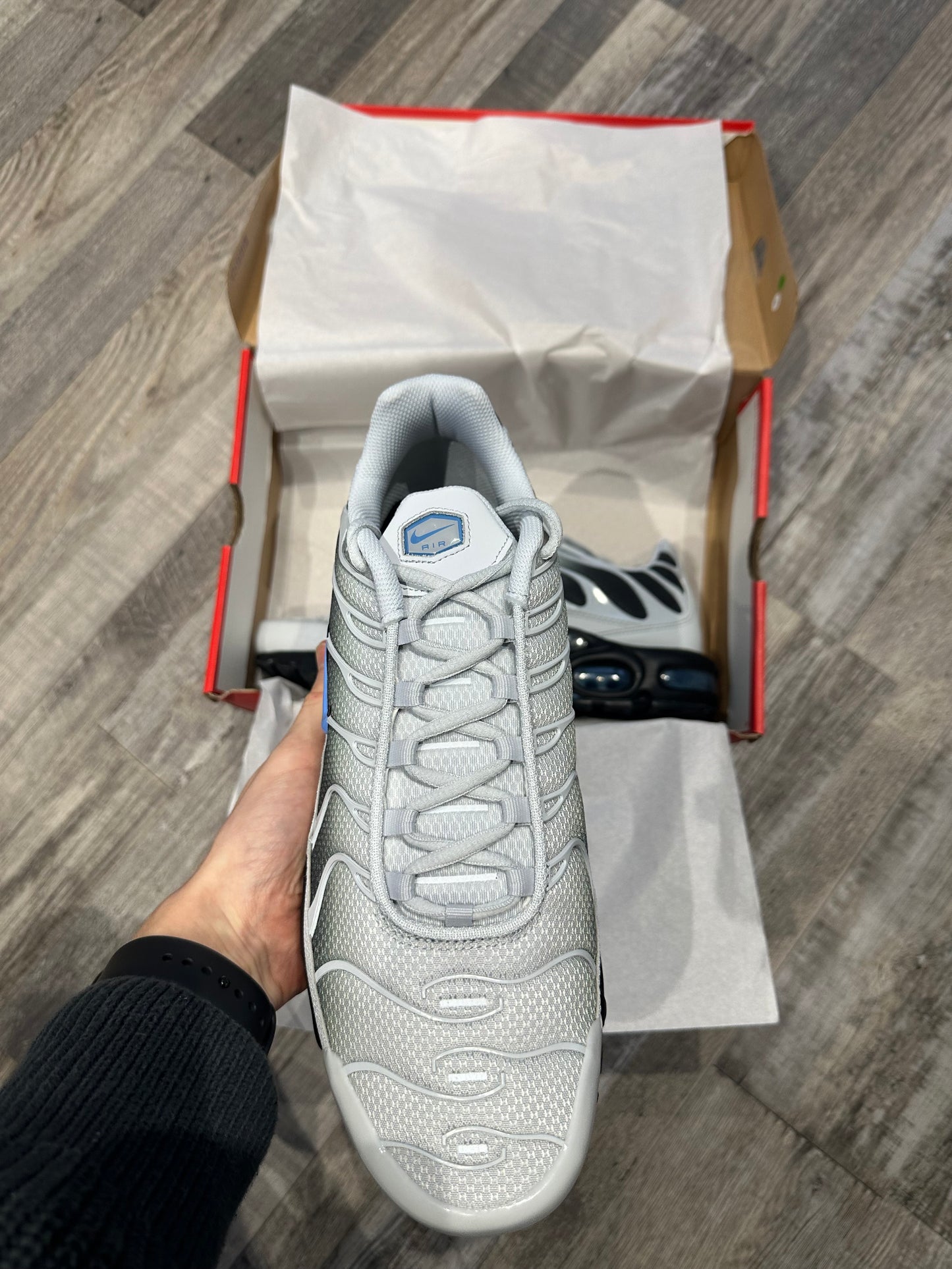 Nike Air Max Plus TN “Wolf Grey University blue”