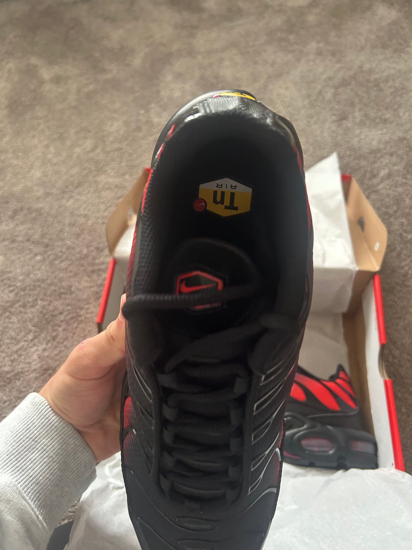 Nike air max plus Tn “Bred Fades”