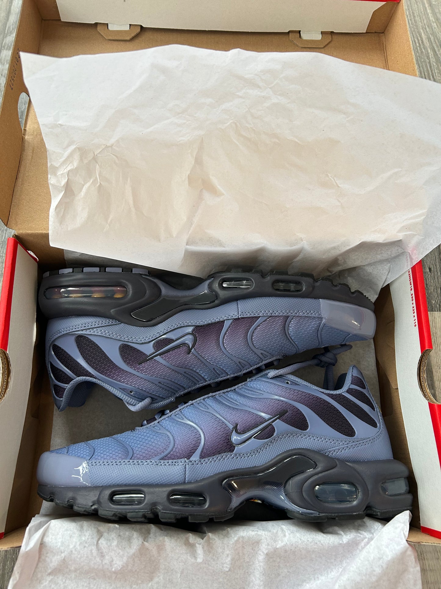 Nike air max plus TN “Indigo blues”