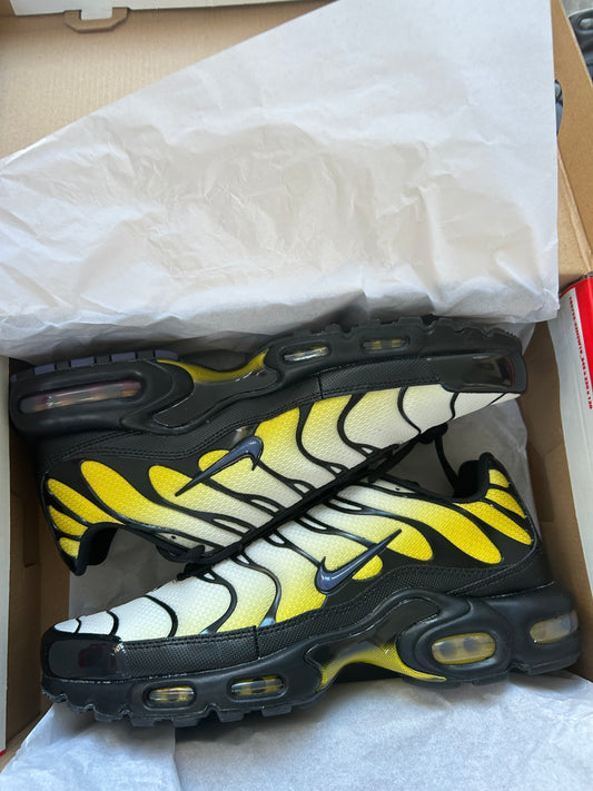 Nike air max plus “black/sanded purple”