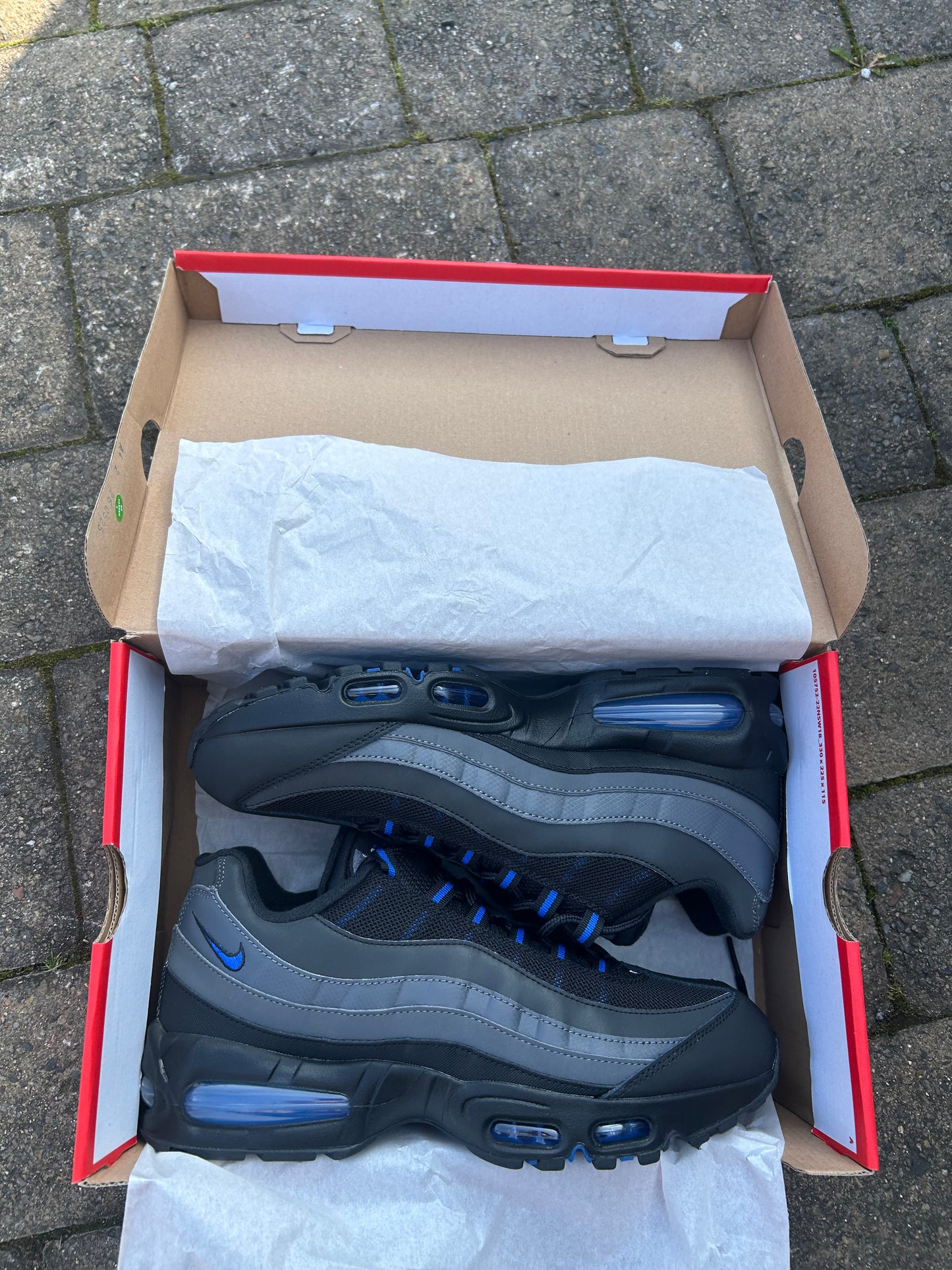 Nike air max 95 “Royal blue/Black”