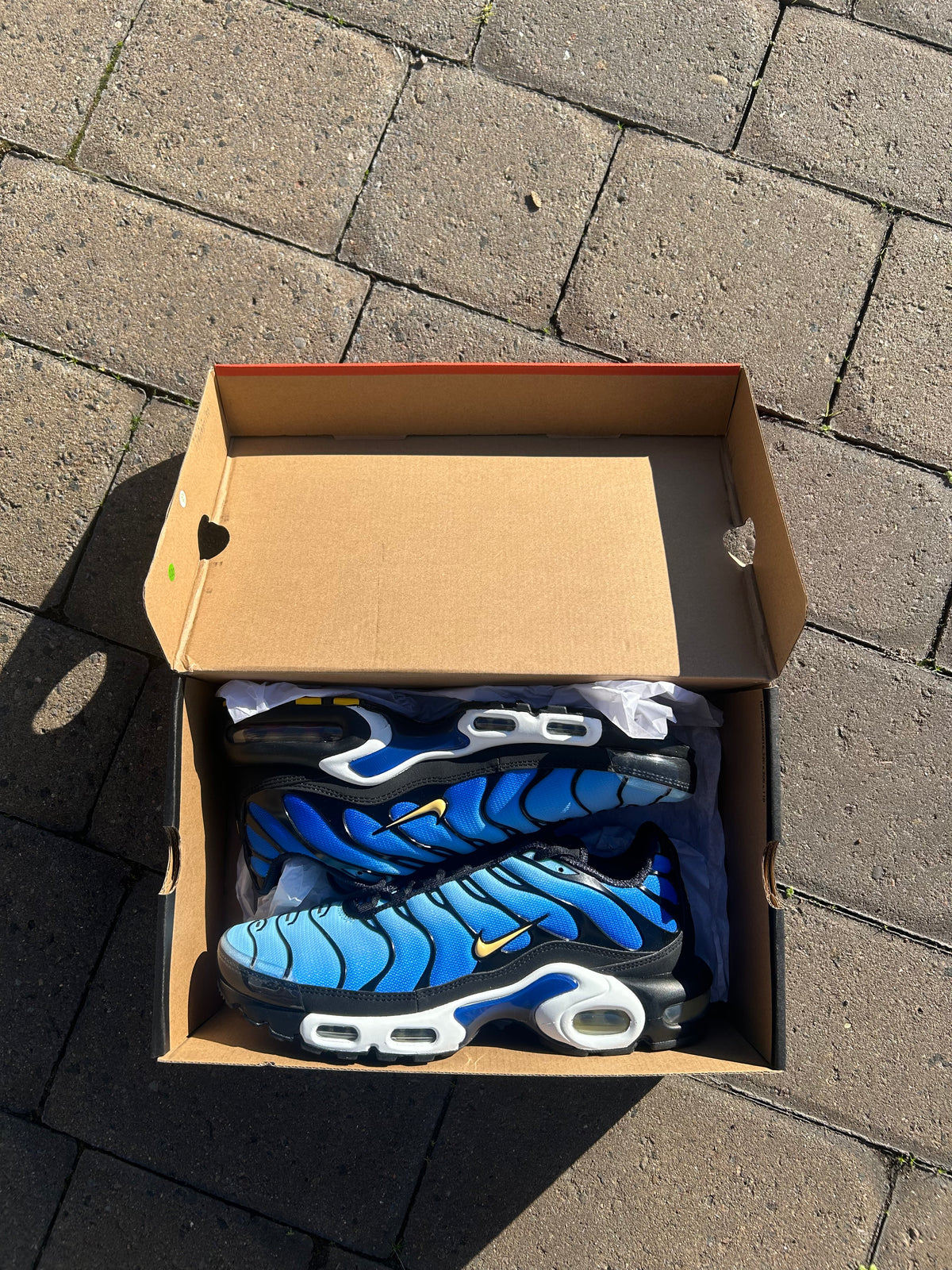Nike air max plus Tn “Hyper blues”