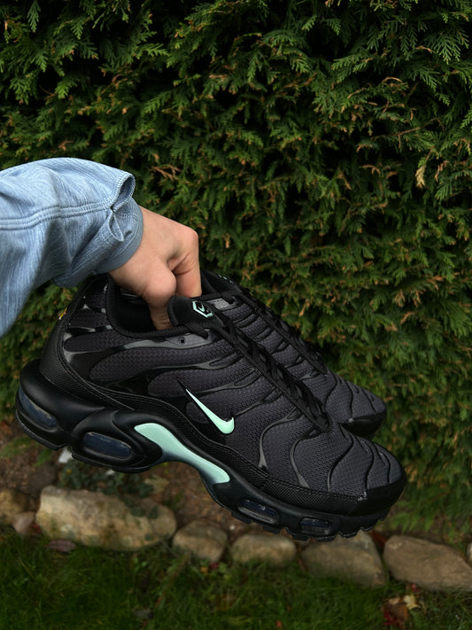 Nike air max plus Tn “Mint/tiffany”