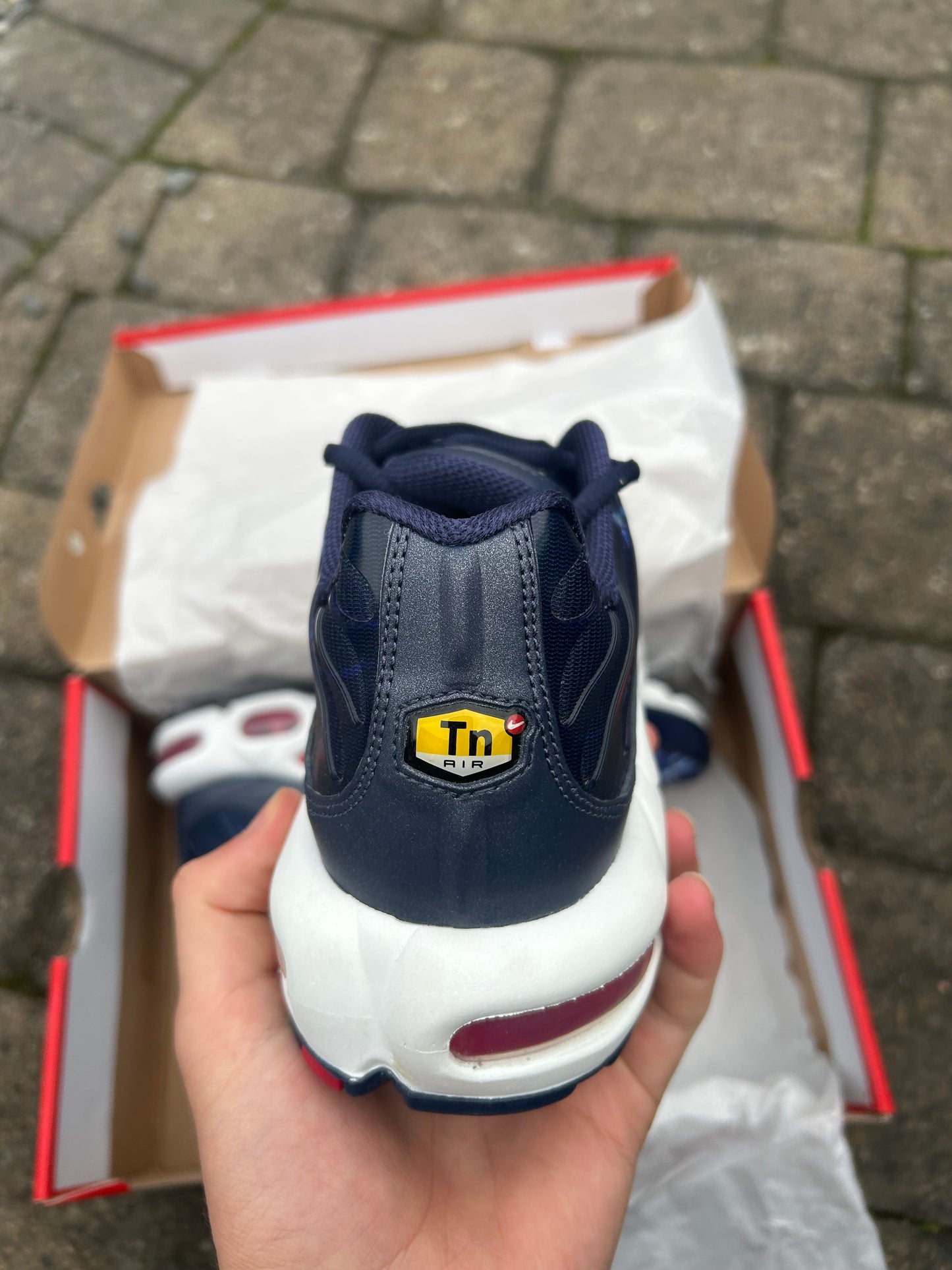 Nike air max plus Tn “Lightning blue”