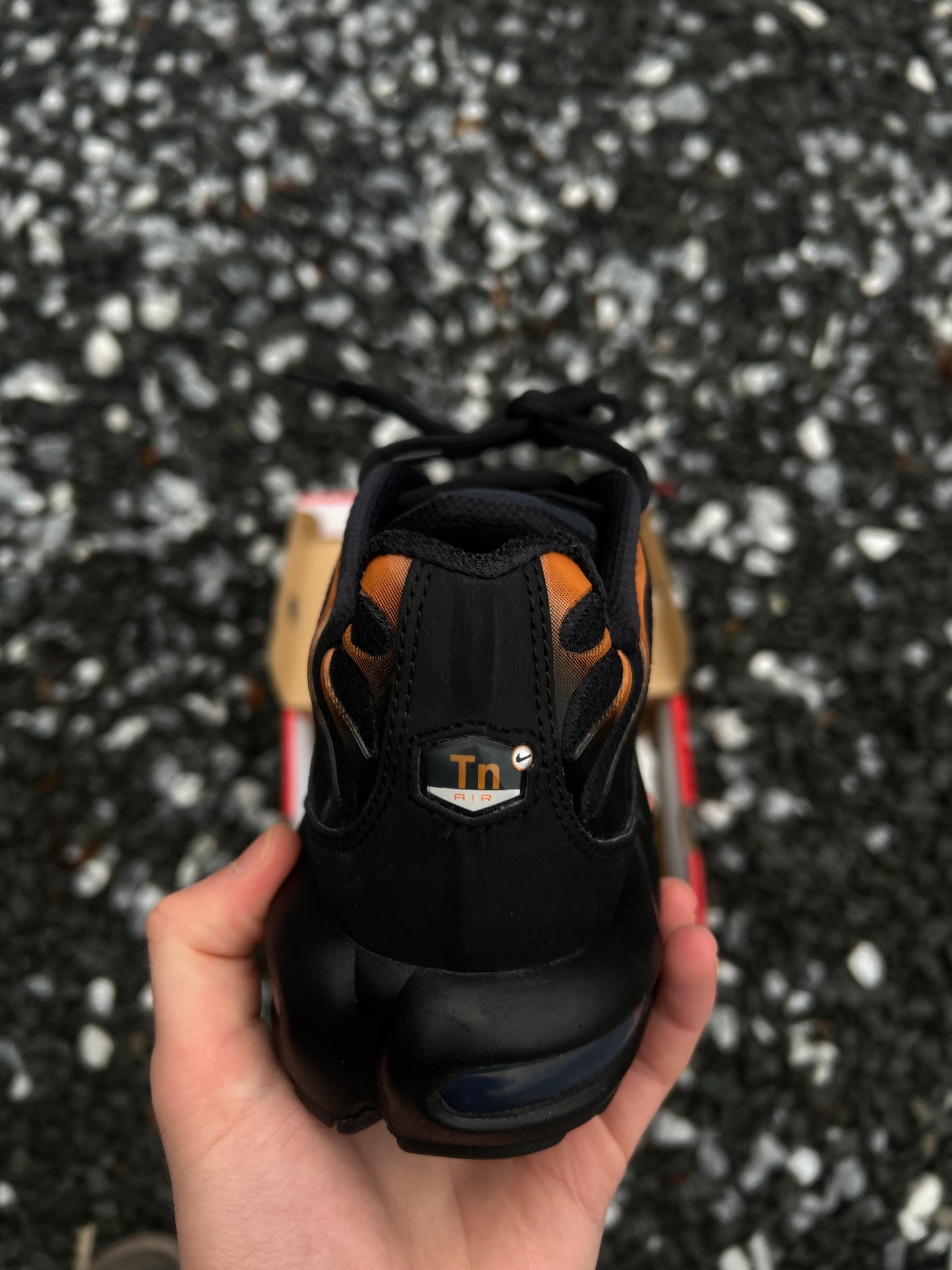 Nike air max plus Tn “Dark Monarch”