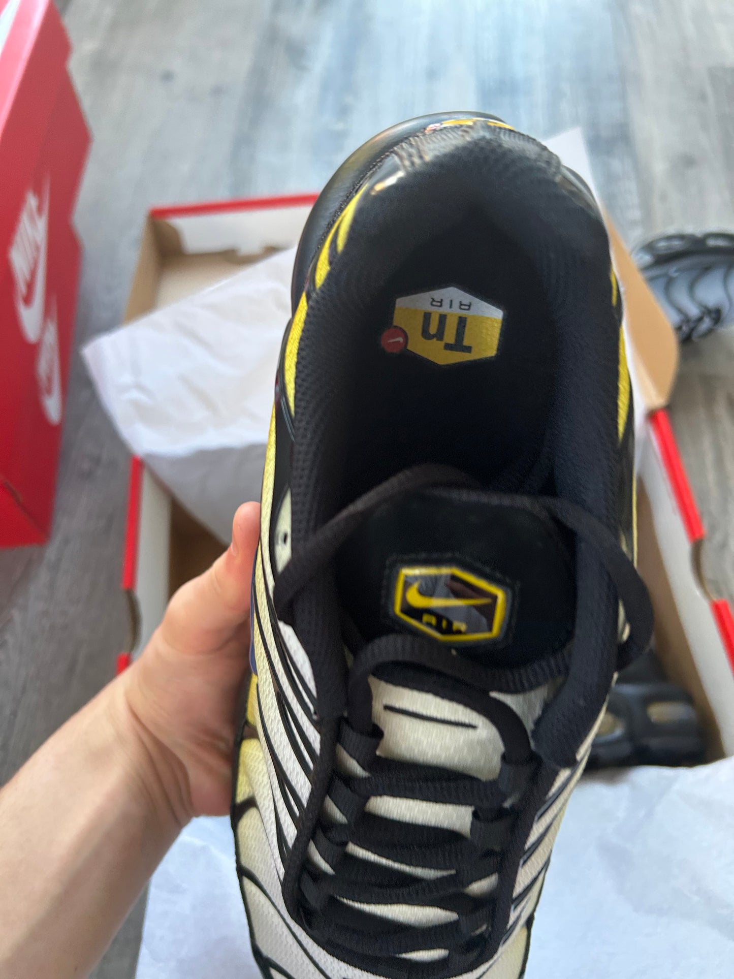 Nike air max plus “black/sanded purple”