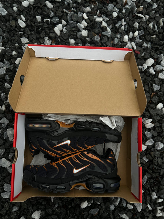 Nike air max plus Tn “Dark Monarch”
