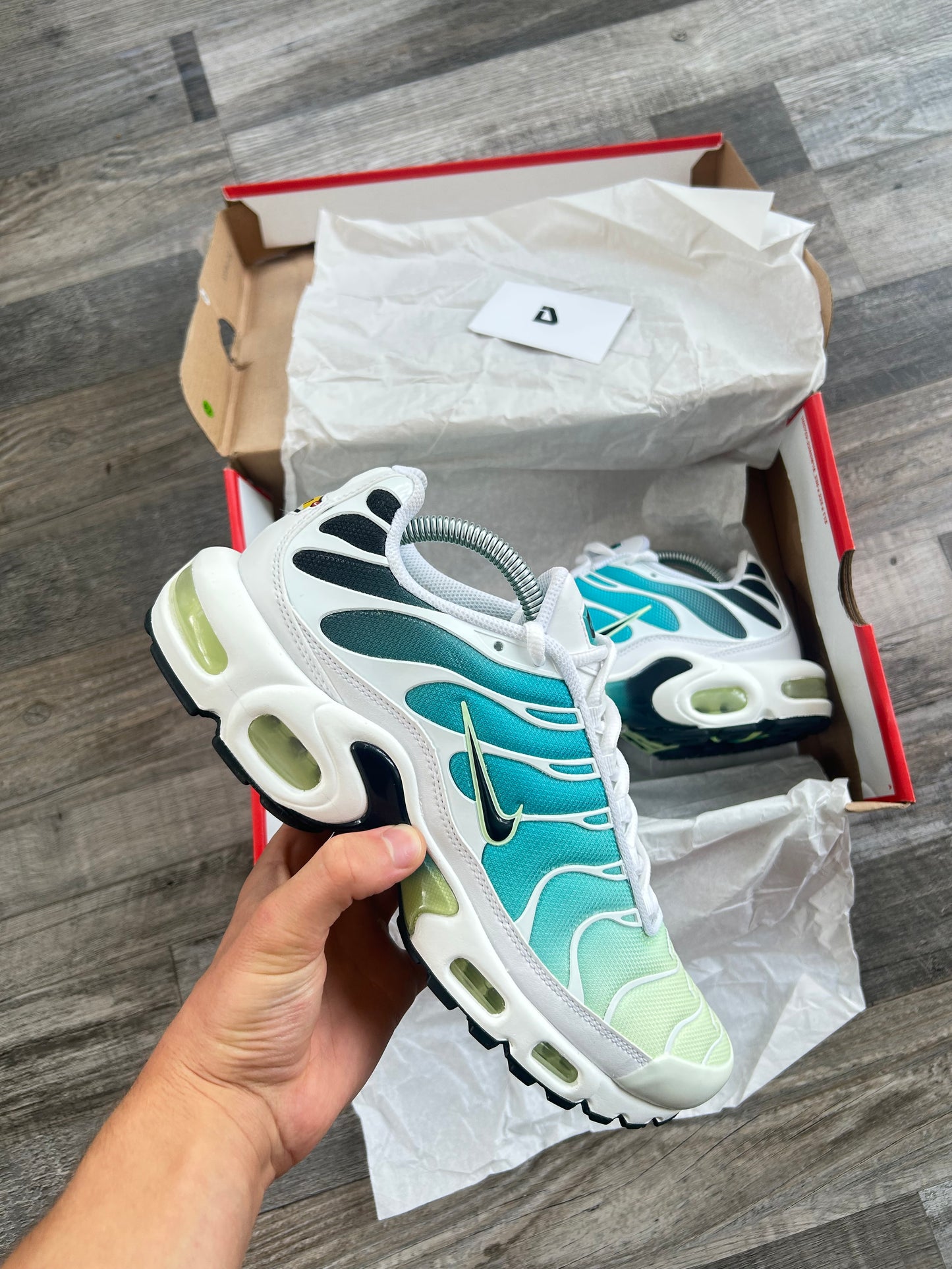Nike Air max plus TN “Dusty cactus/barely Volt”