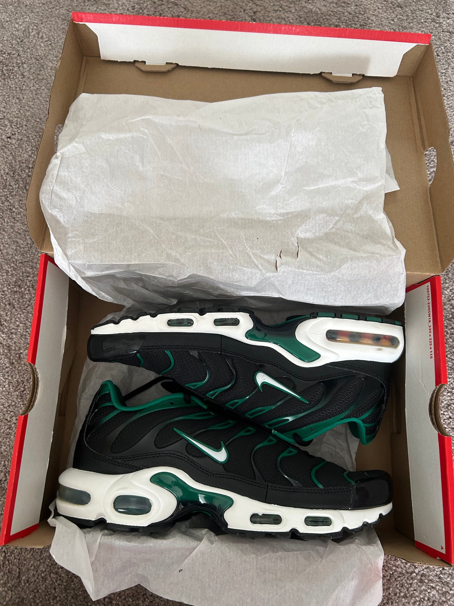 Nike air max plus Tn “Malachite greens”