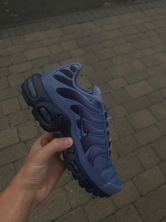 Nike air max plus Tn “Indigo worlds”