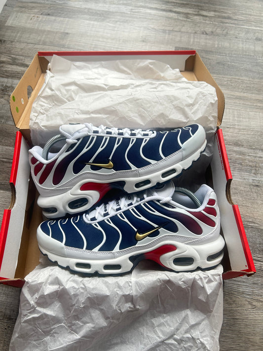Nike air max plus Tn “PARIS SAINT GERMANS”