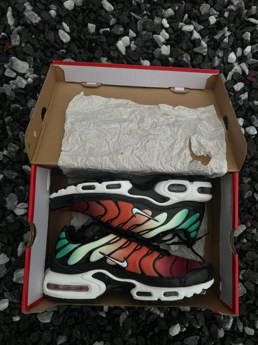 Nike air max plus Tn “Rainbows”