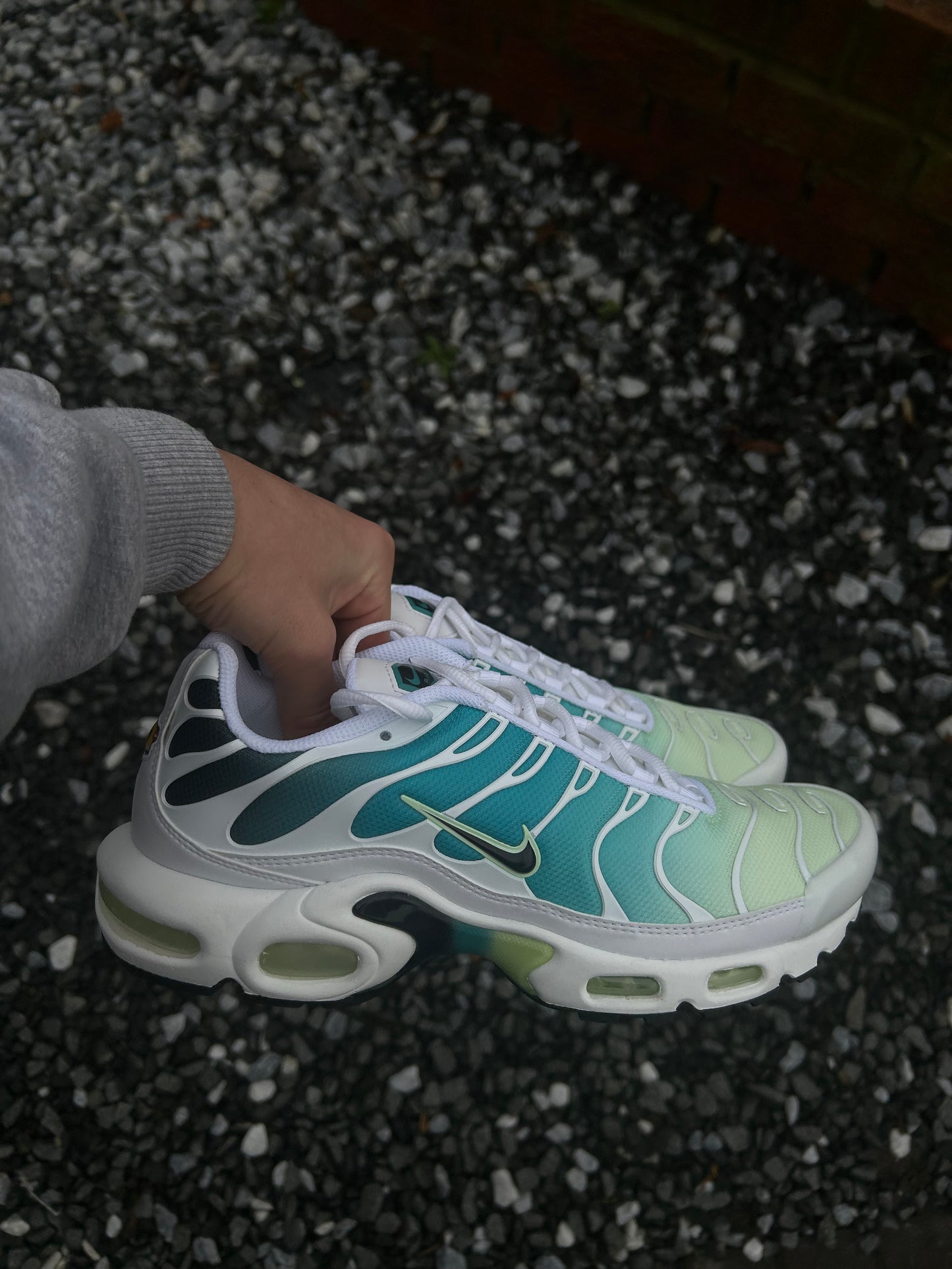 Nike air max plus Tn “Dusty cactus”
