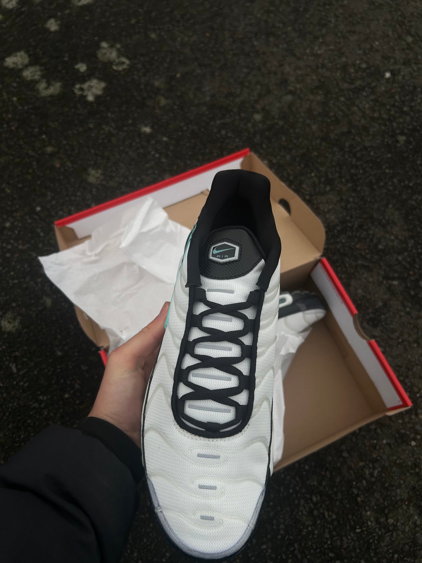 Nike air max plus Tn “Mint/Aurora green”